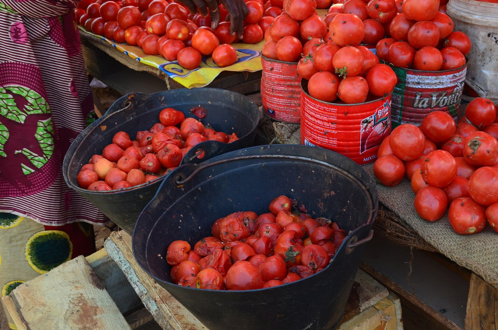 Buckets and tins full of ripe tomatoes for sale at a market in Tamale, Ghana